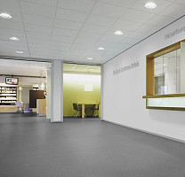 Forbo SureStep  Fast Fit 6171952 elephant фото 2 | FLOORDEALER